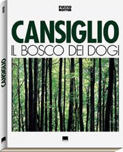 Cansiglio . Il bosco dei dogi