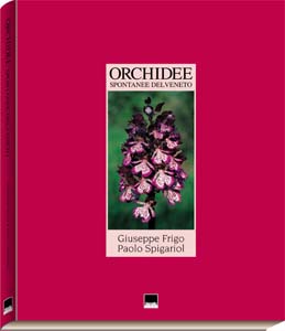 Orchidee spontanee del Veneto