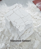Francesco Gennari . Catalogo della mostra .