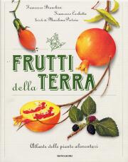 Frutti della terra.