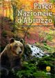 Parco Nazionale d'Abruzzo. Alla scoperta del parco più antico d'Italia.