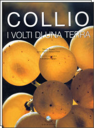 Collio . I volti di una terra