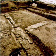 Ca' Vendramin Calergi . Archeologia urbana lungo il Canal Grande di Venezia.