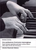 Perfezione d'armonia meravigliosa . Prassi cmbalo-organistica del basso continuo italiano dalle origini all'inizio del XVIII secolo