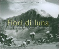 Fiori di luna . La vegetazione afroalpina del Ruwenzori