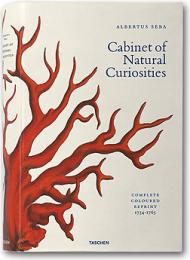 Albertus Seba . Cabinet of natural curiosities