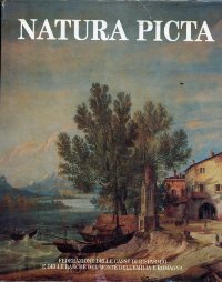 Natura picta. Paesaggio e immagini dell' Emilia Romagna nelle arti figurative, nella fotografia, nel cinema