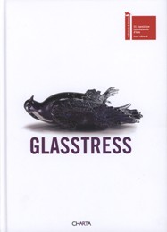 Glasstress. 53° Esposizione Internazionale d'arte, eventi collaterali